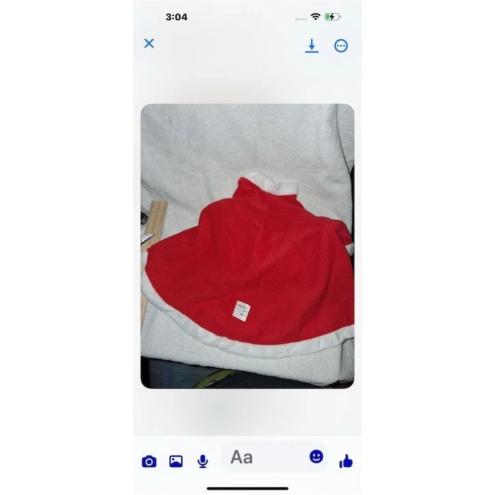 Doggie Design Festive Mrs. Claus‎ Pet Costume with Hat Red Christmas