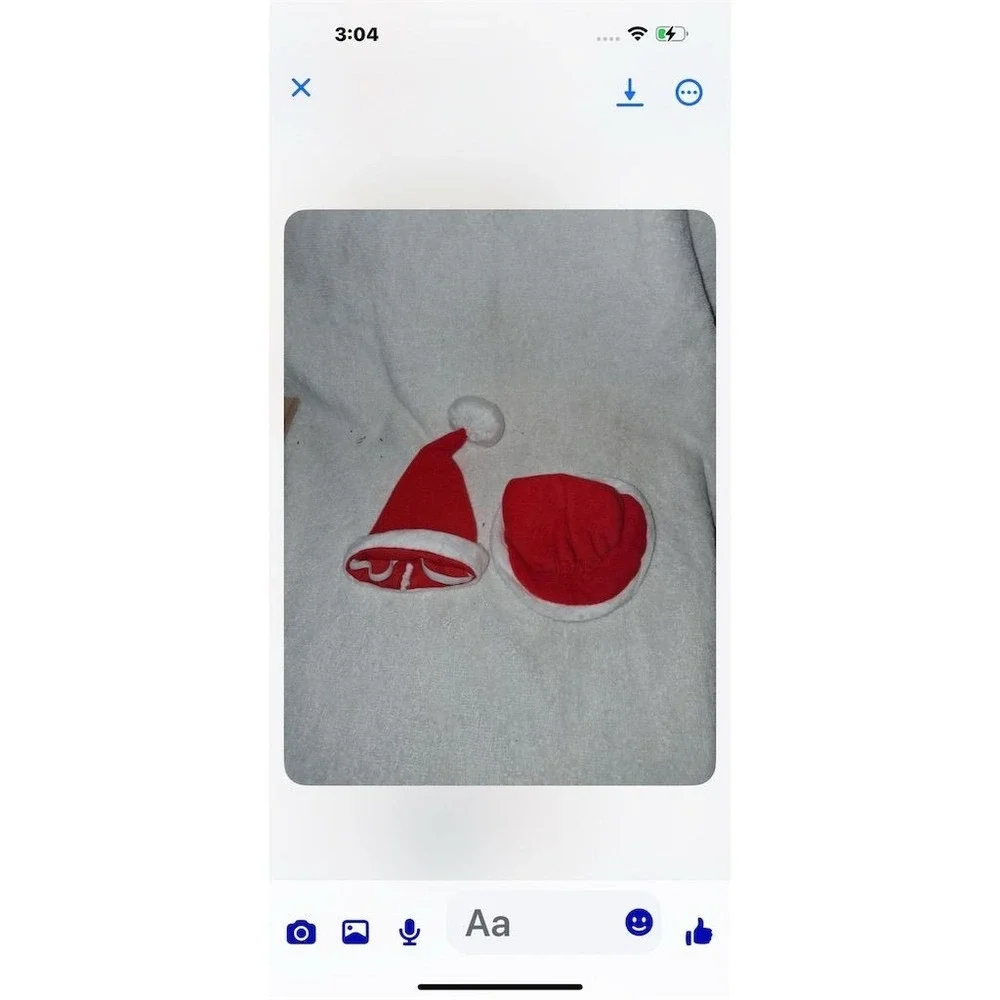 Doggie Design Festive Mrs. Claus‎ Pet Costume with Hat Red Christmas