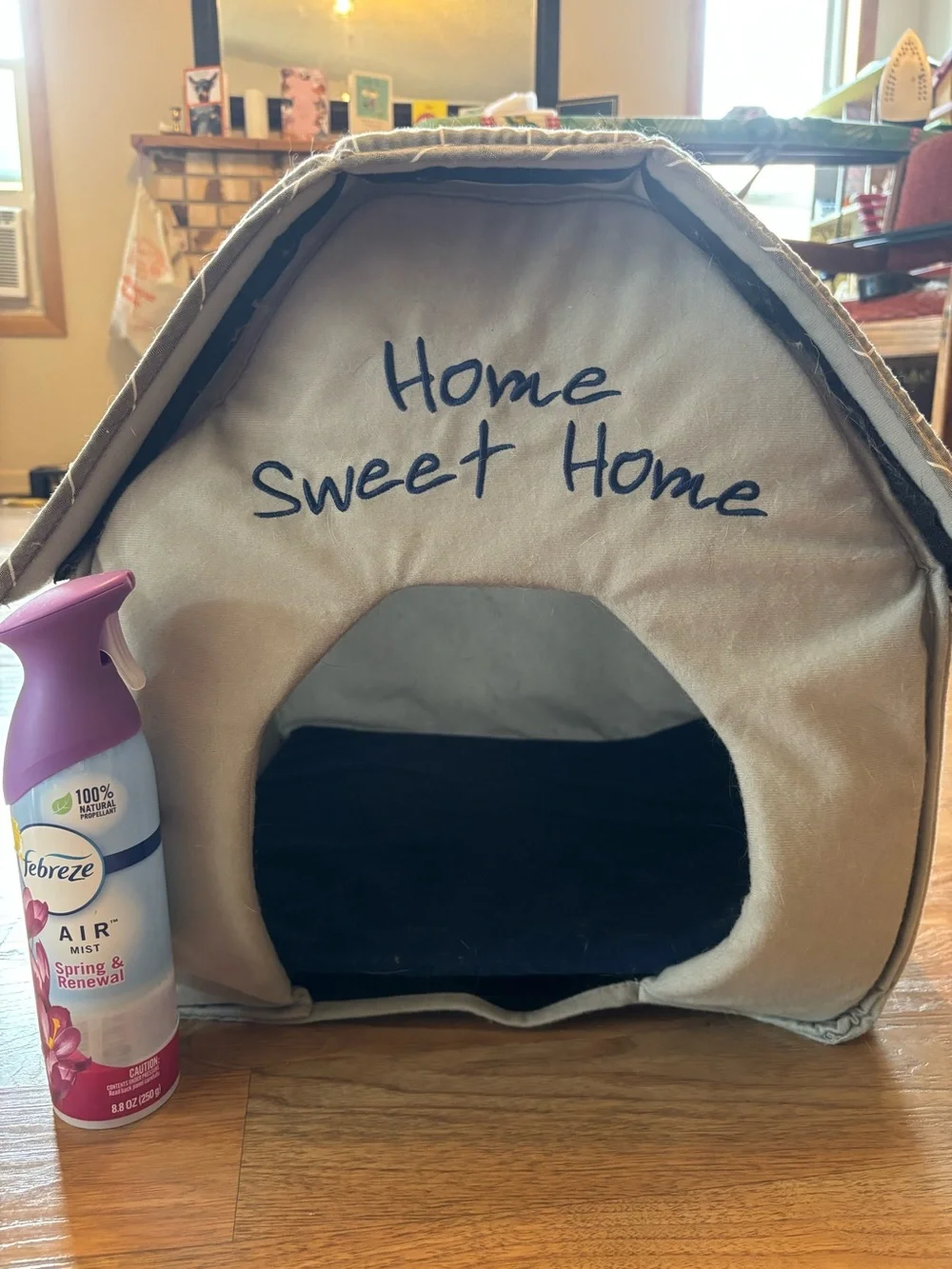 Cat home sweet home