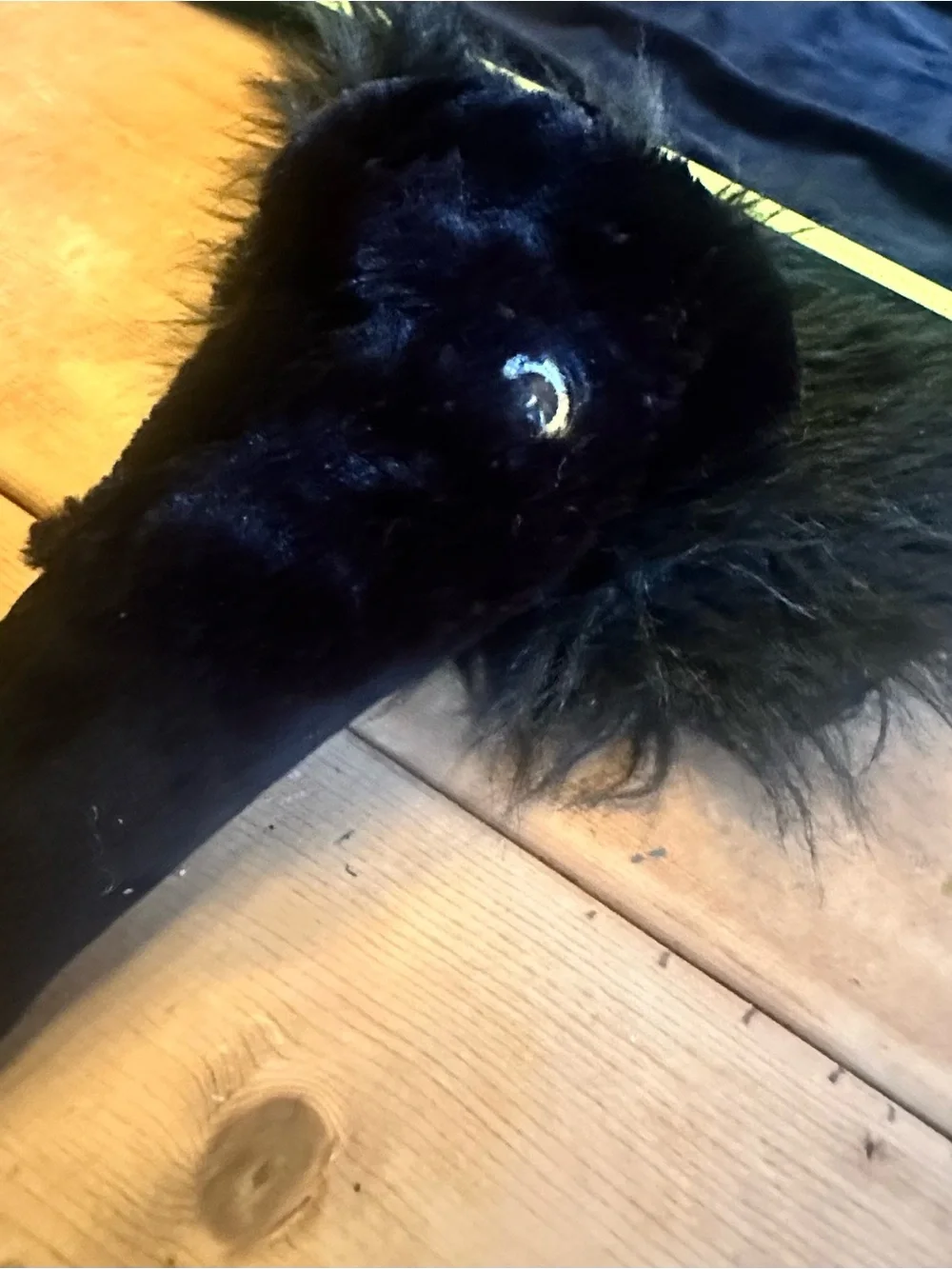 N/A raven cape