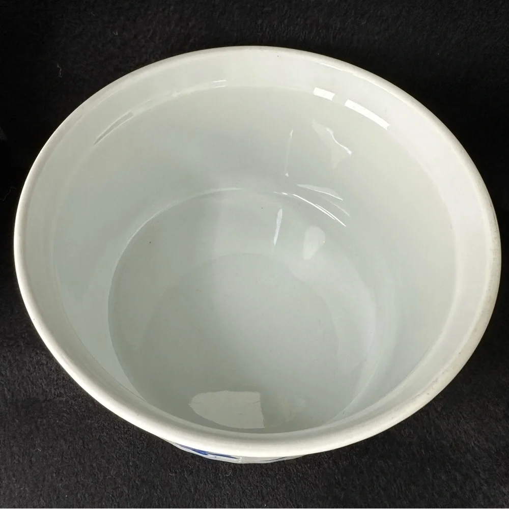 Royal Worcester great 6”