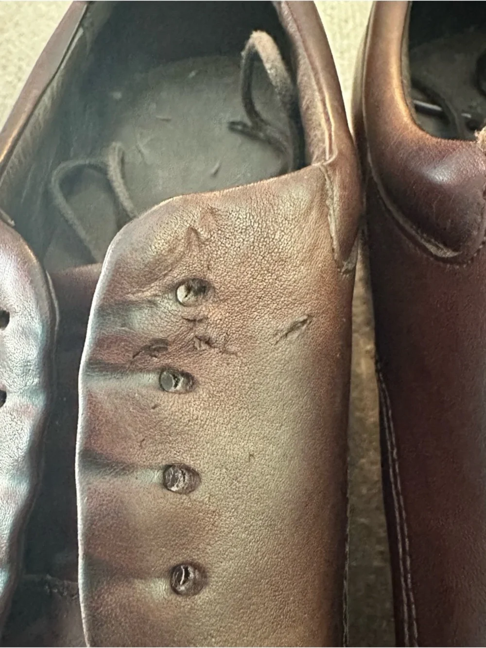 Rockport classic men