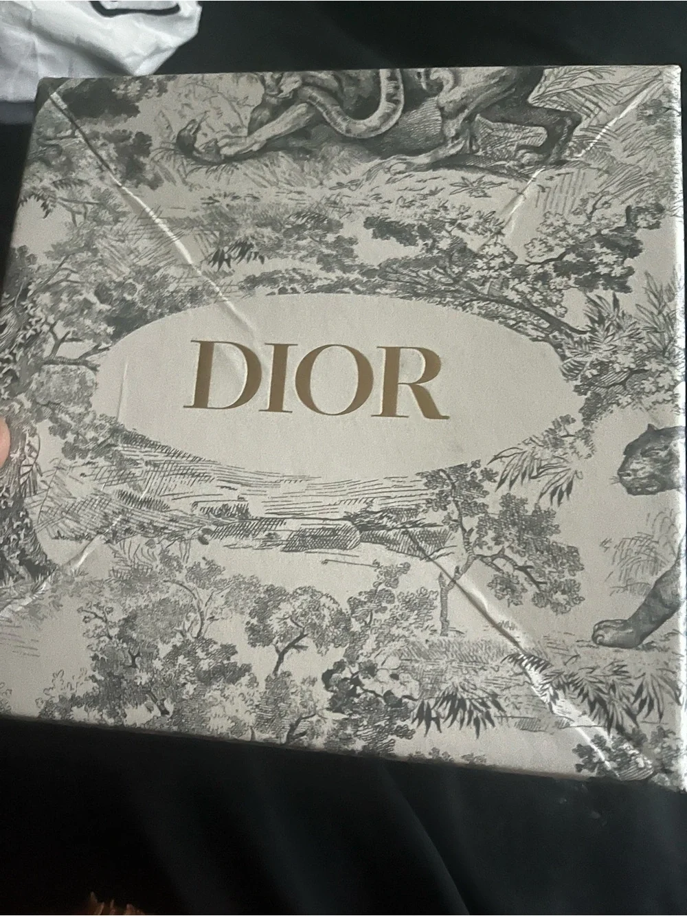 Dior men’s belt