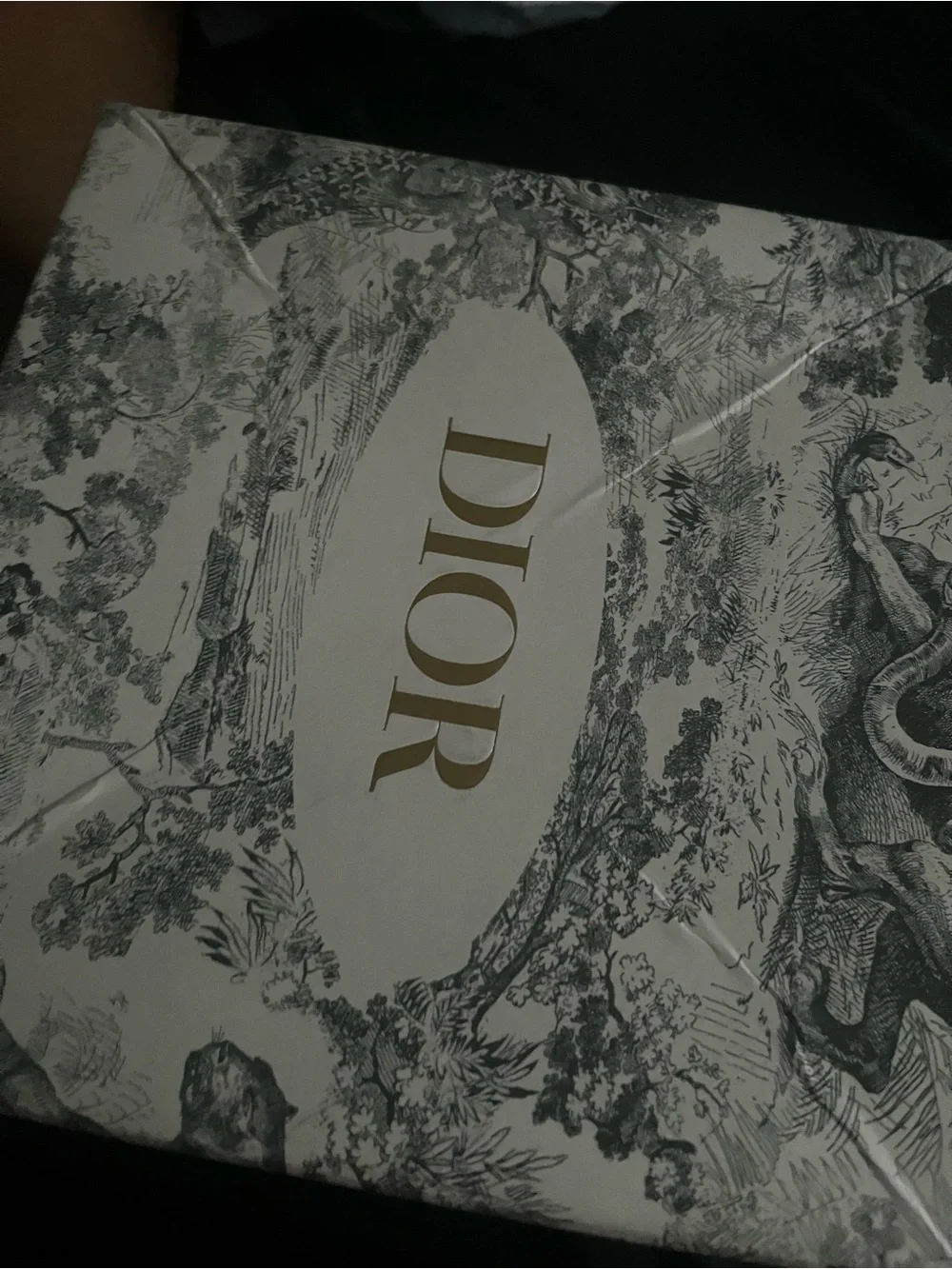 Dior men’s belt