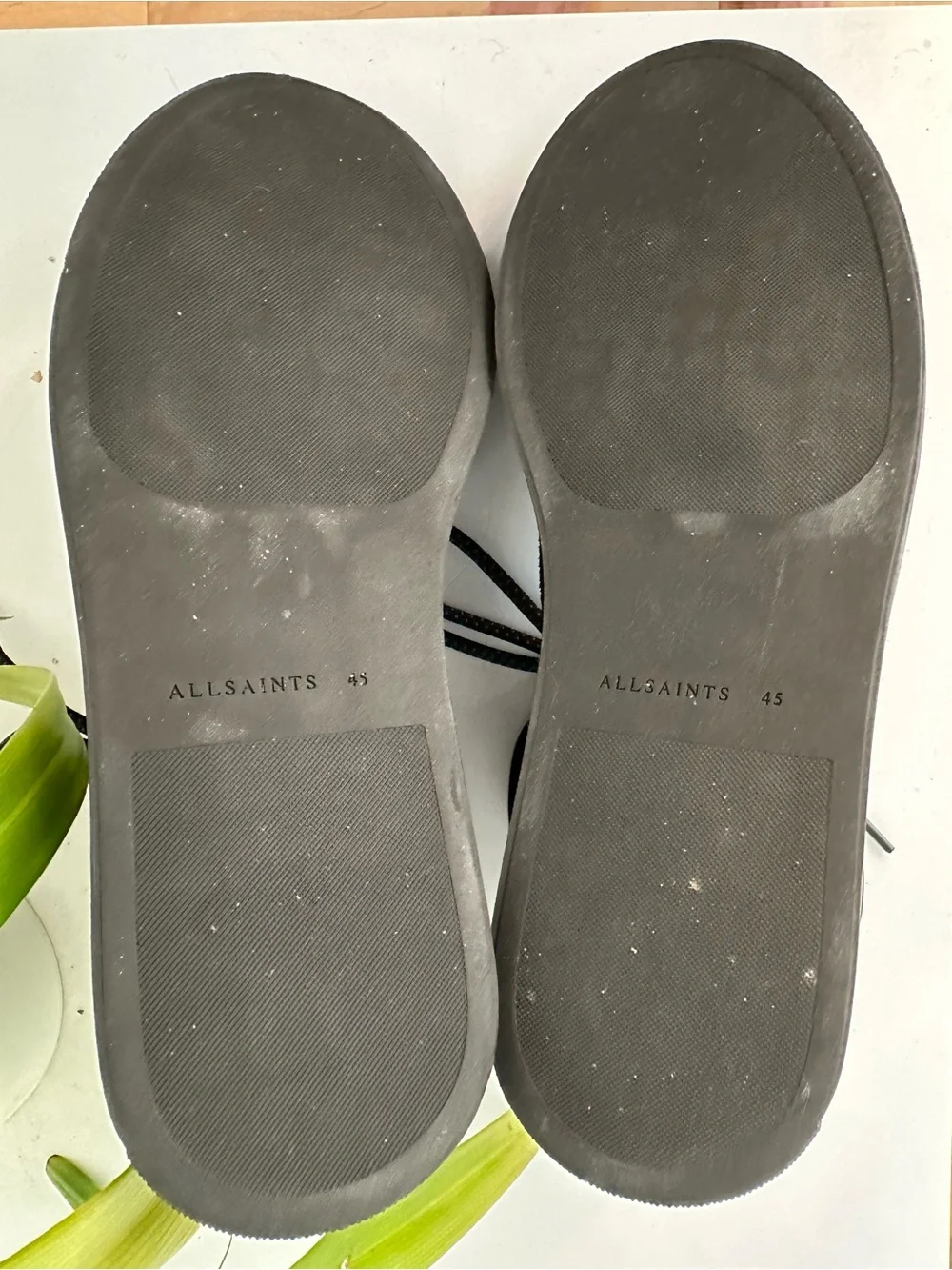 All Saints pair allsaints