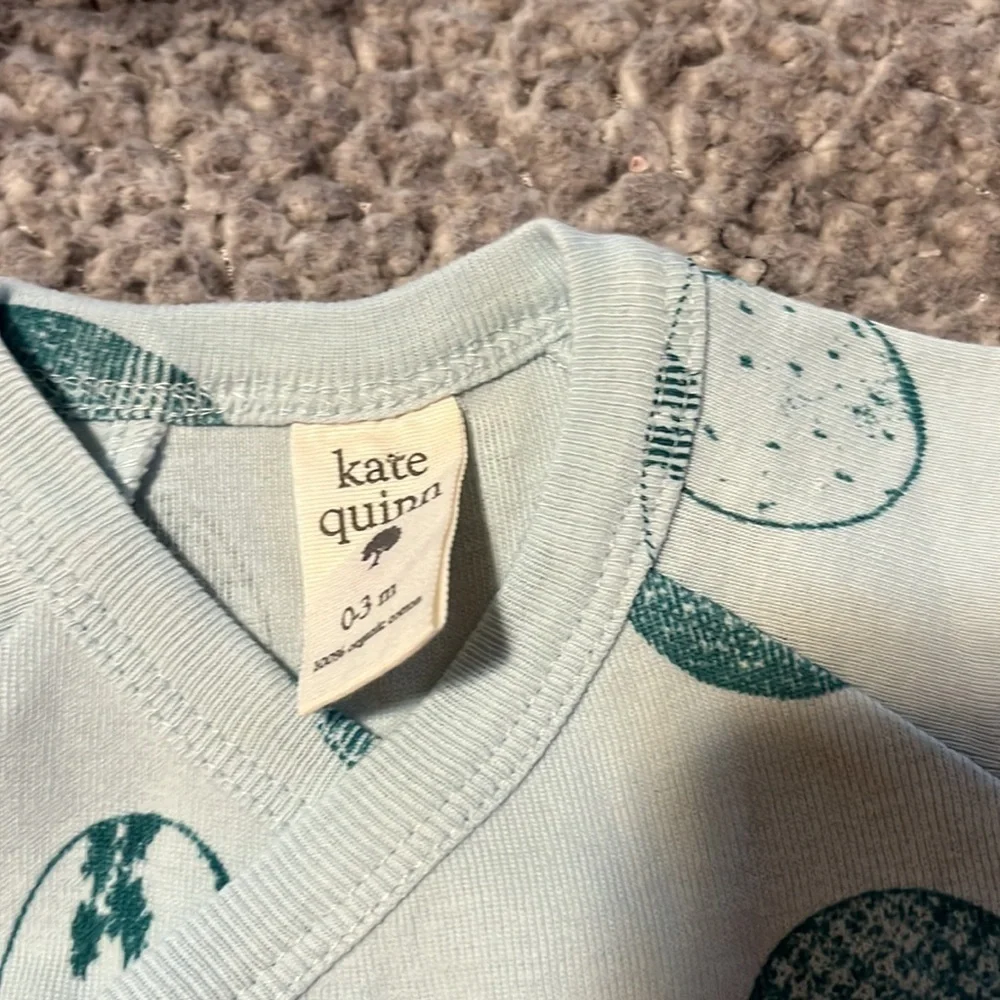 kate quinn new kate