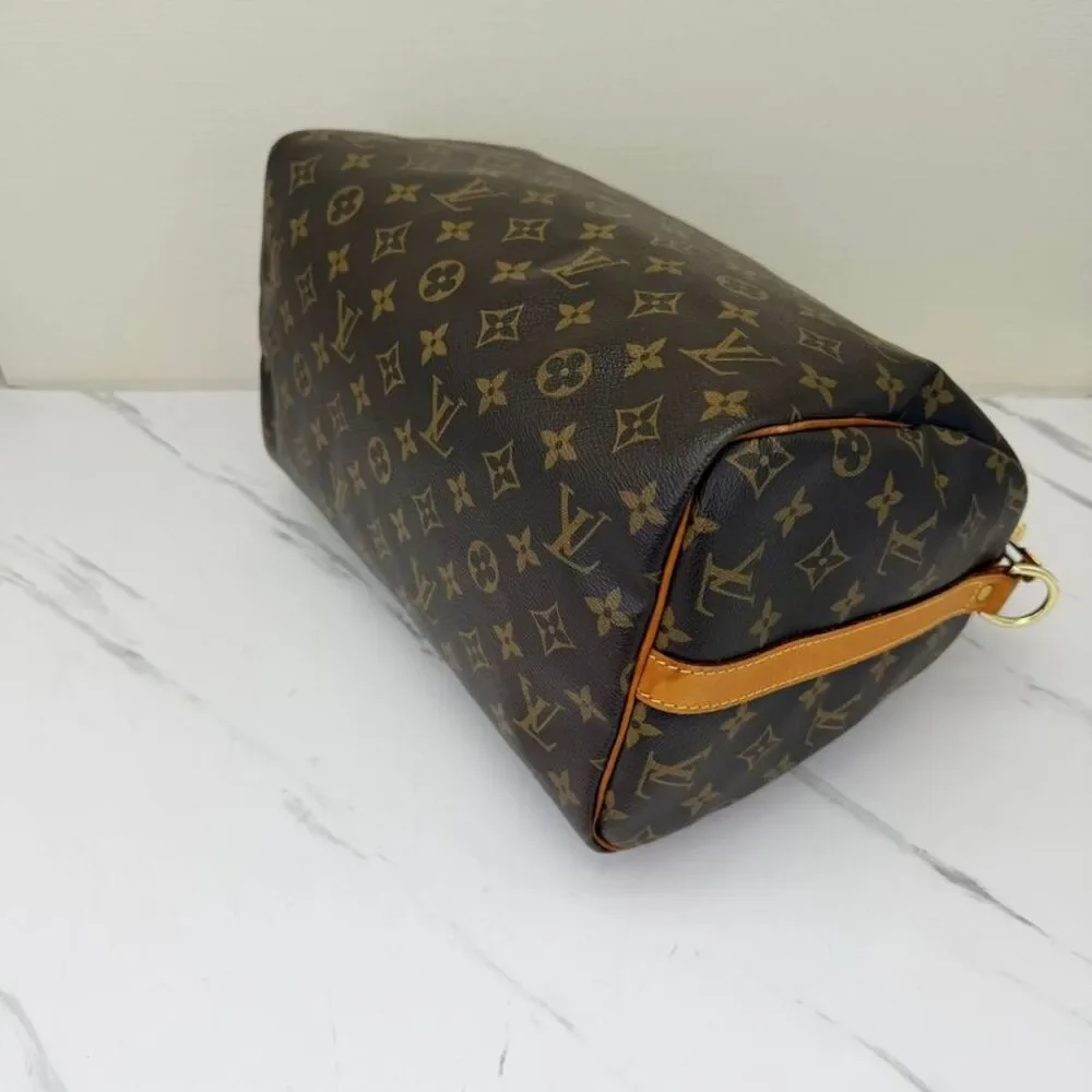 Louis Vuitton brand louis
