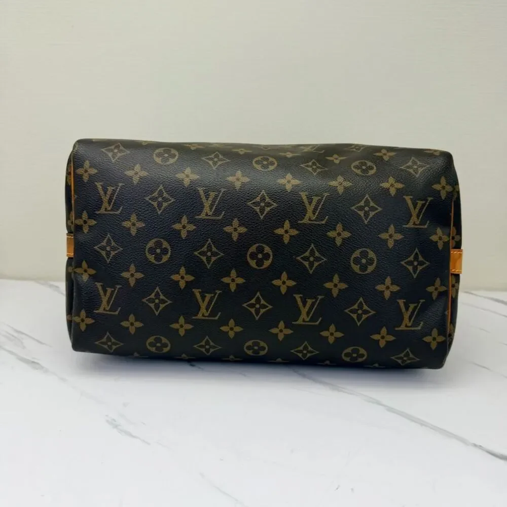 Louis Vuitton brand louis