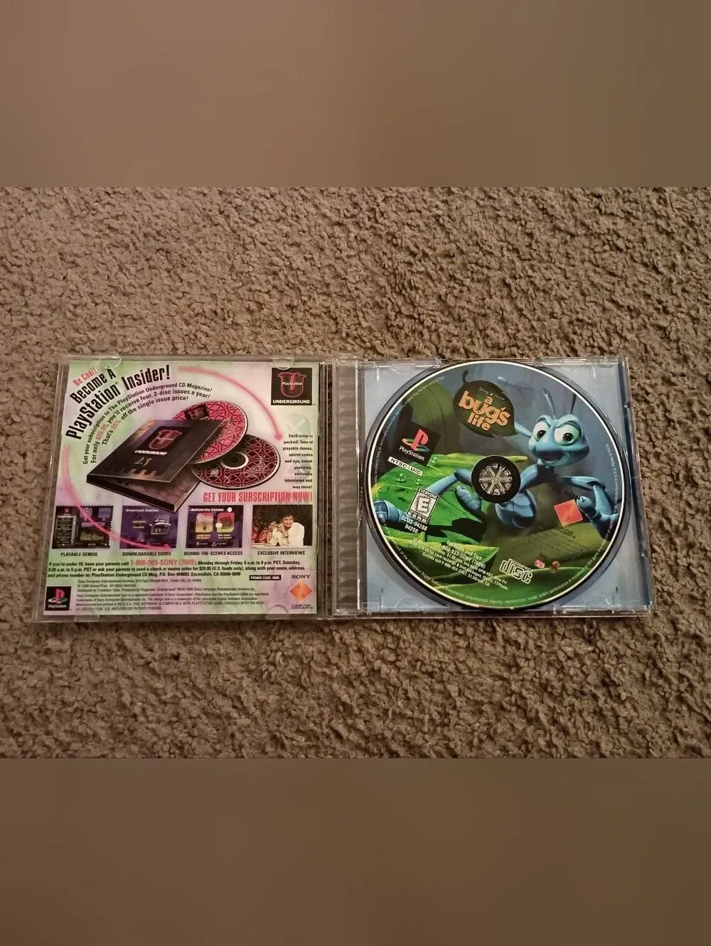 N/A bugs life