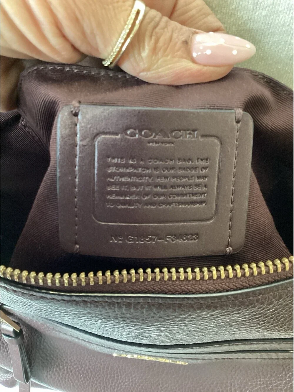 Coach everyday hardware any