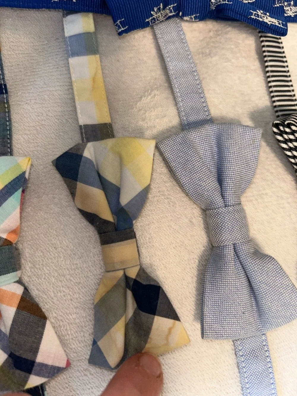 Janie and Jack Small Boy Bow Tie Set