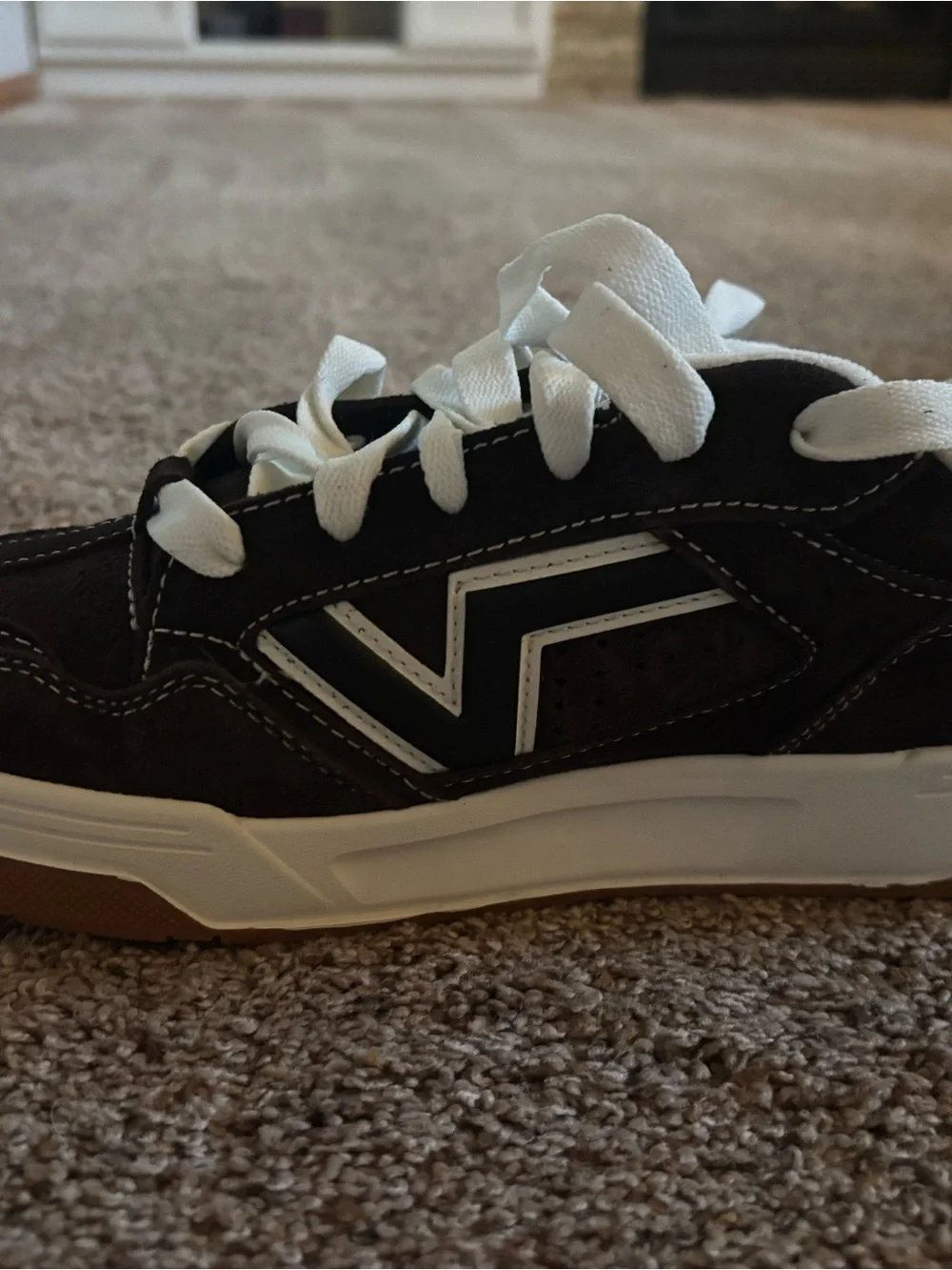 Vans Black and White Low-Top Skate Sneakers