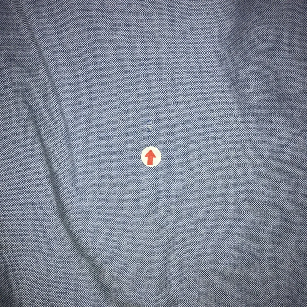 Polo Ralph Lauren cotton details oxford