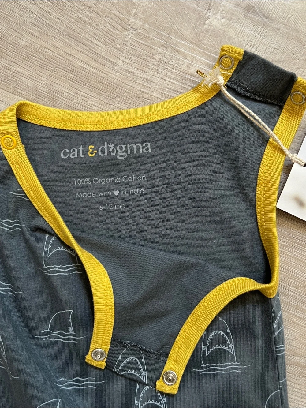 Cat & Dogma adorable cat