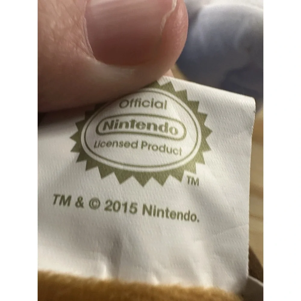 Nintendo bring home