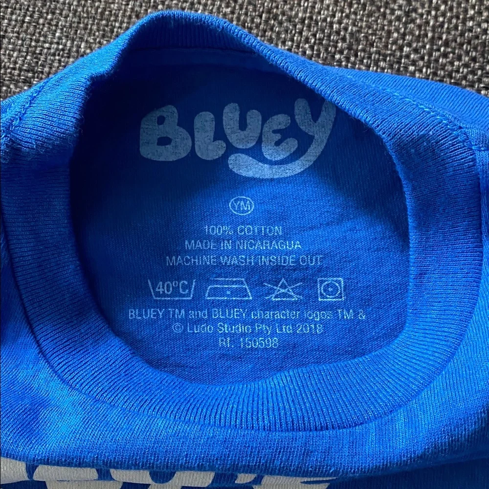 🫘 Kids T-Shirt - Bluey’s Big Play Tour T-Shirt, Youth Medium, The Grannies