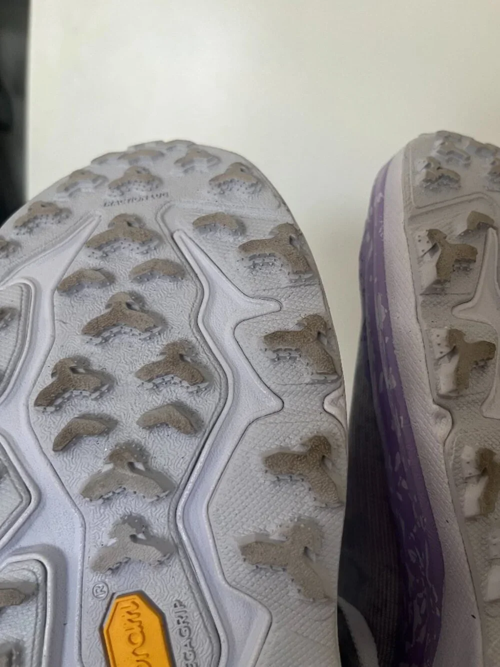 Hoka Speedgoat 6