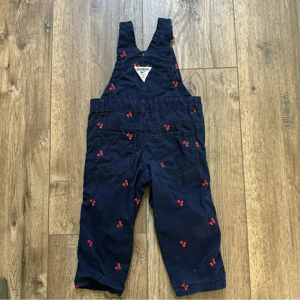 OshKosh Bgosh toddler girl’s