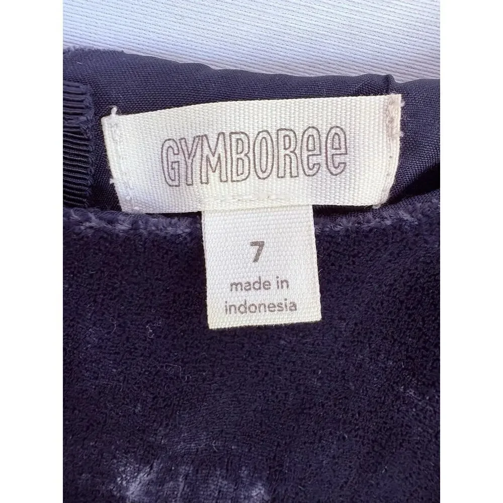 Gymboree girls blue