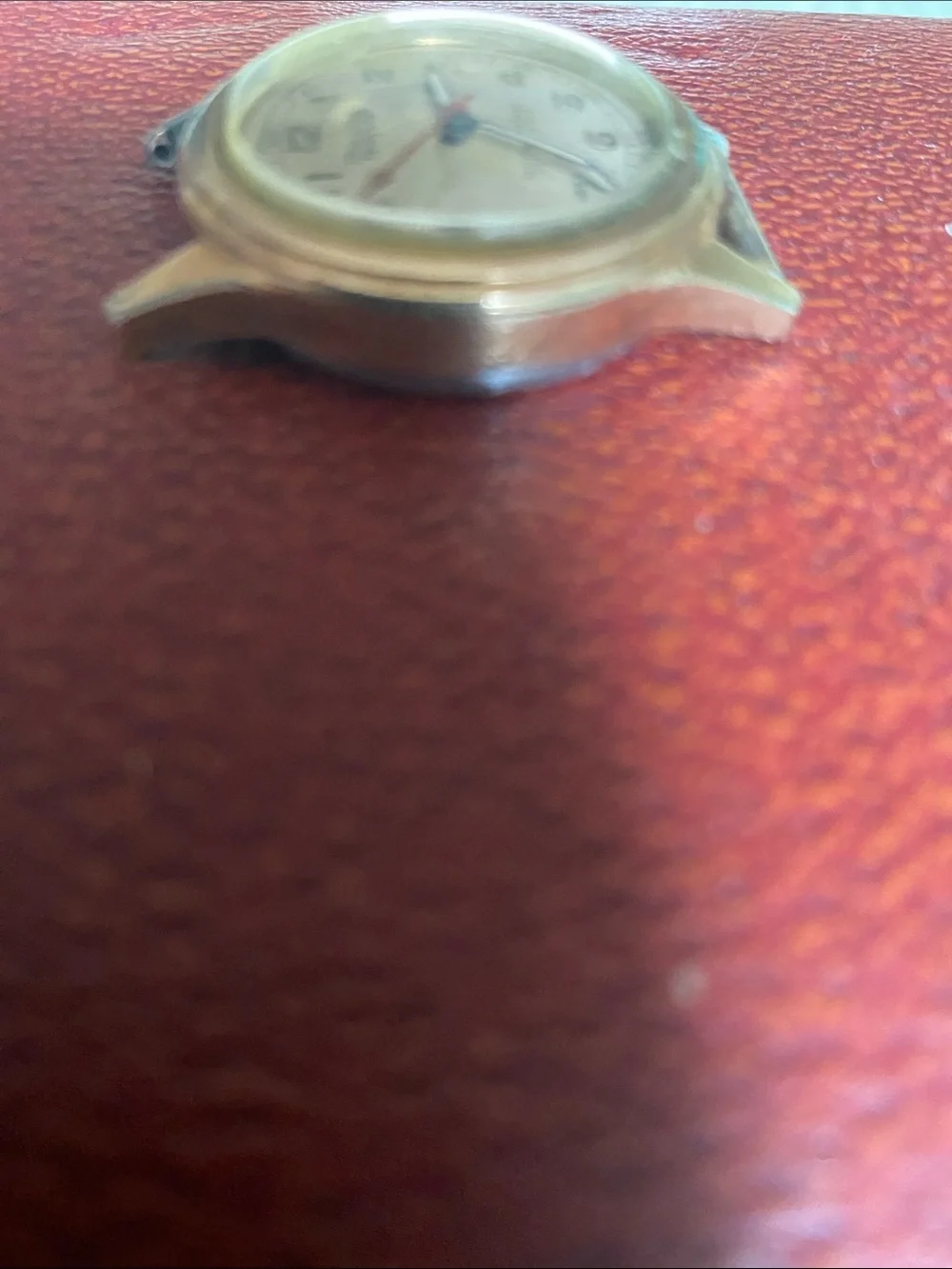 Timex watch case