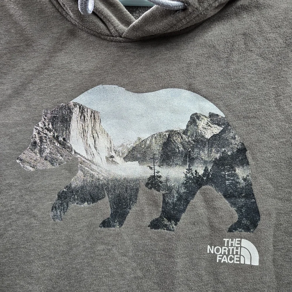 The‎ North Face Men Hoodie M Gray Graphic Print Fleece Bear Mountains Logo