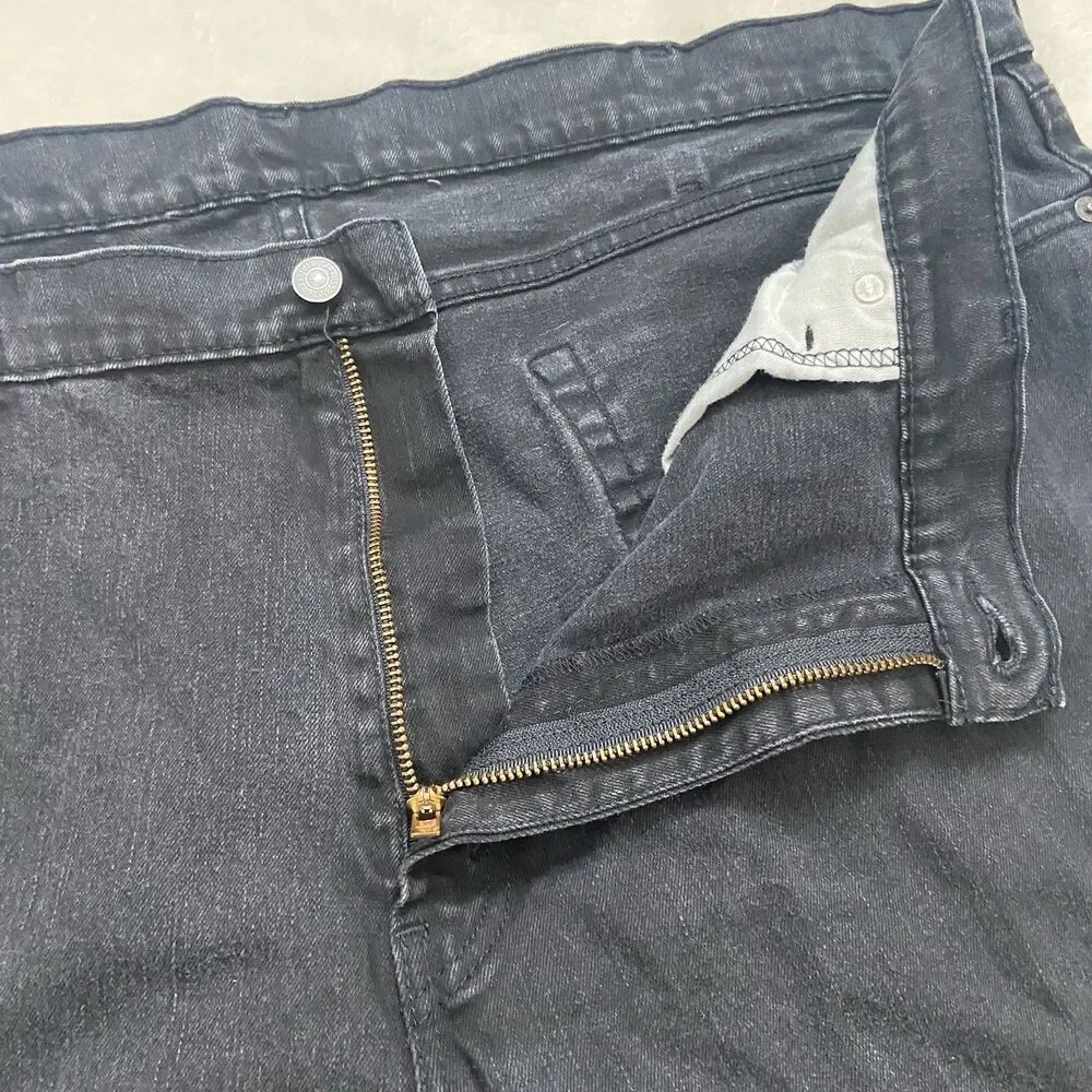 Levis levis 541