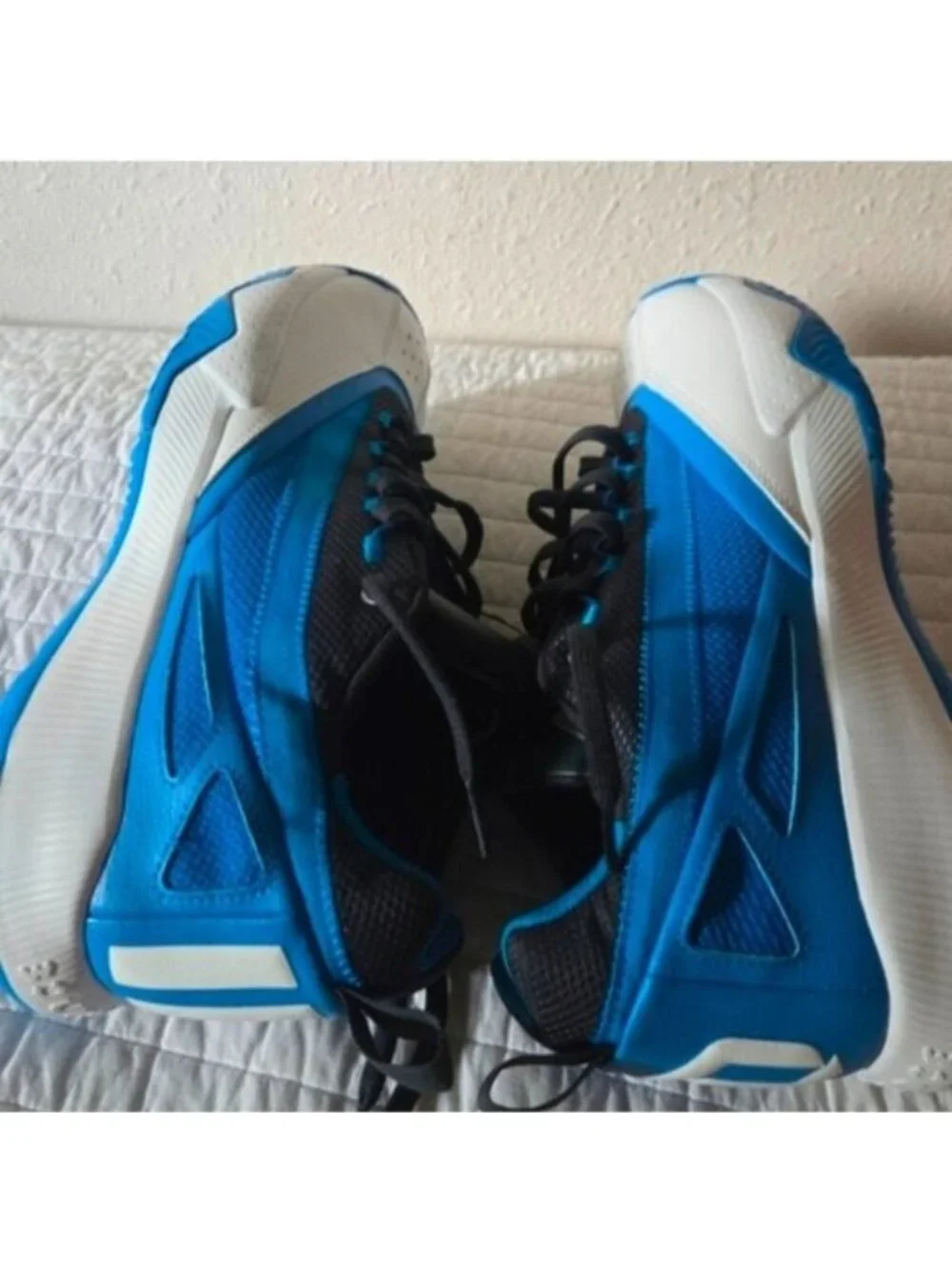 adidas certified casual