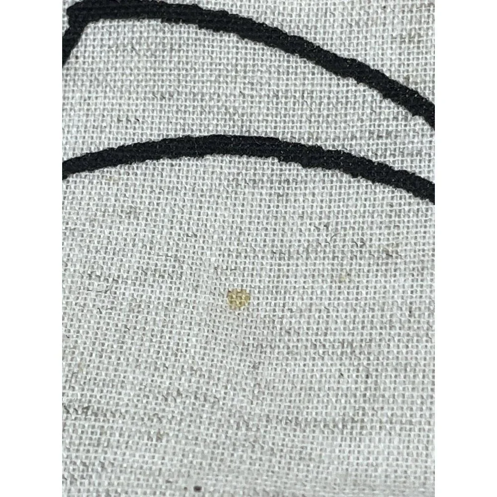 Hallow Home black spider