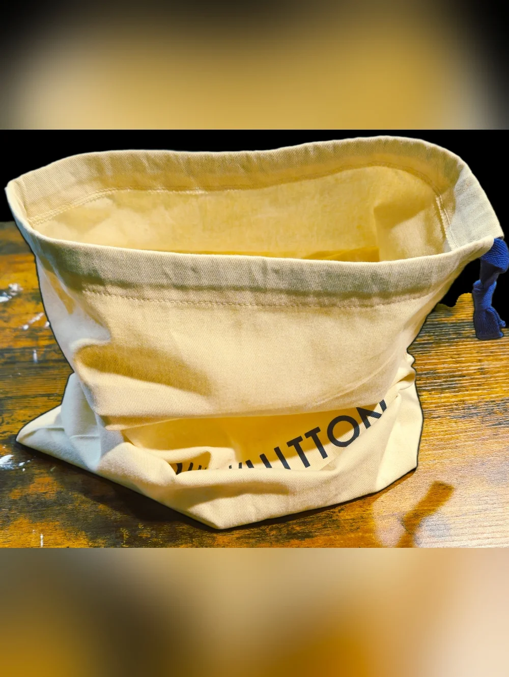 Louis Vuitton authentic louis