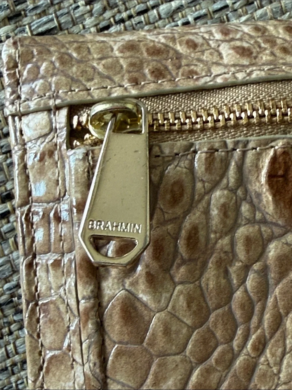 Brahmin gently used