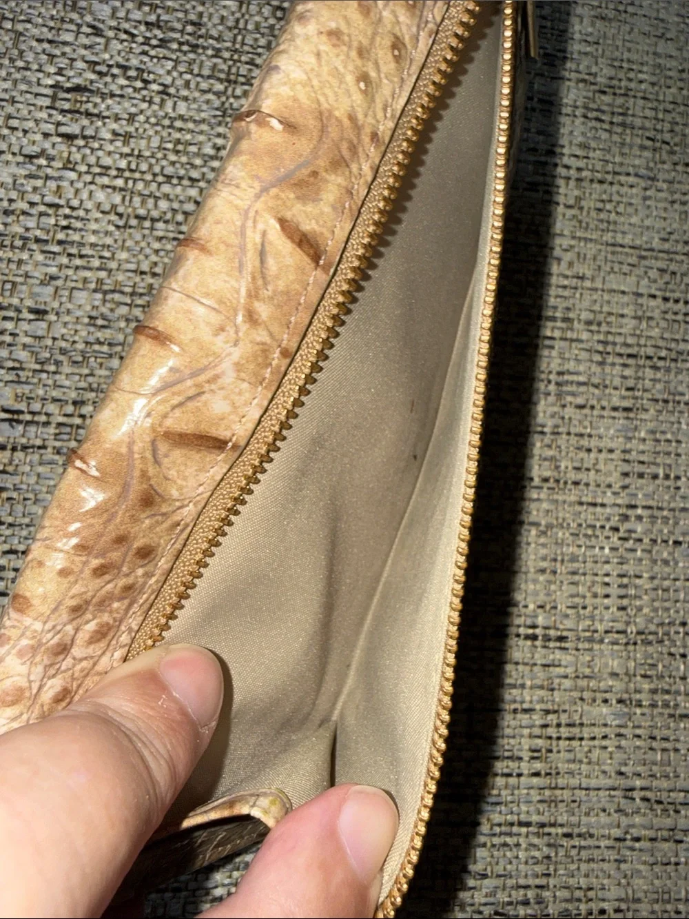 Brahmin gently used