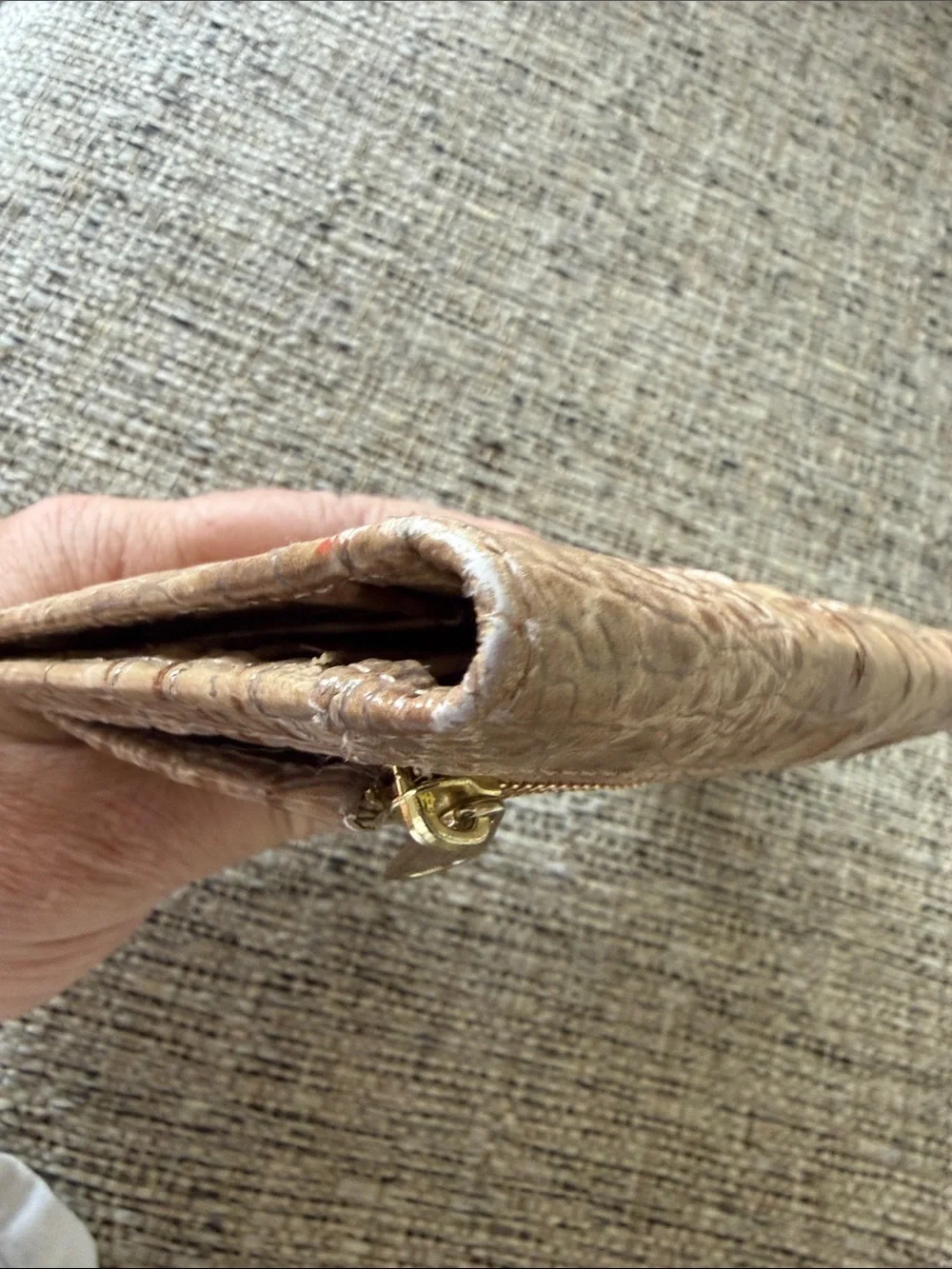 Brahmin gently used