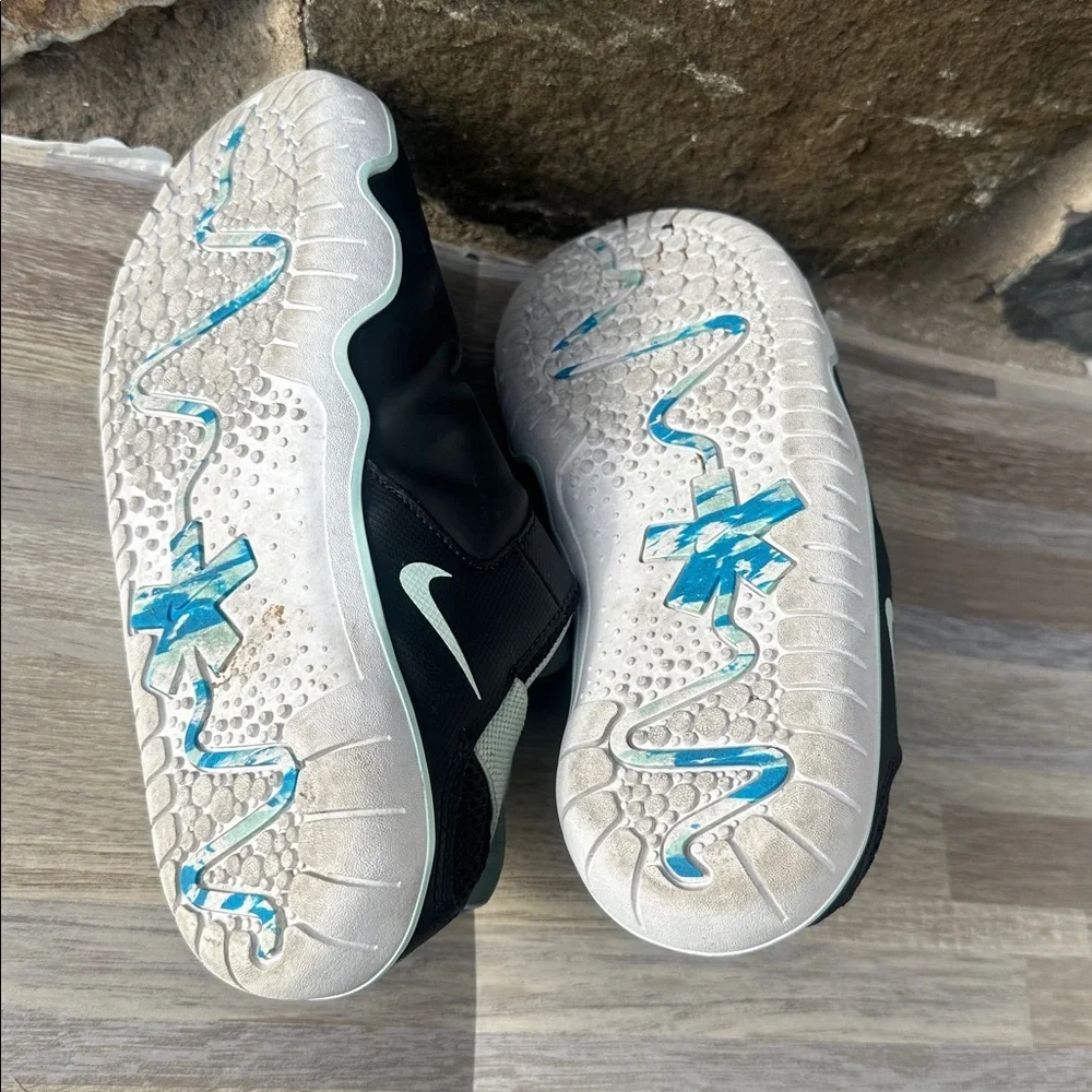 Nike zoom pulse