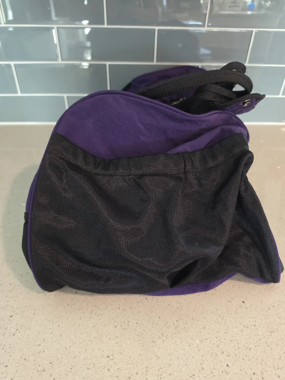 kiva tour spacious purple