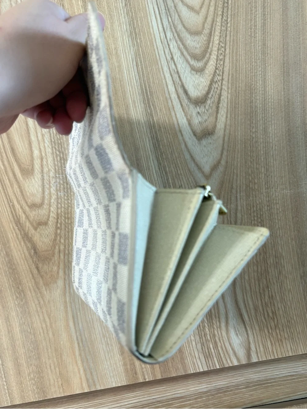 Louis Vuitton authentic louis