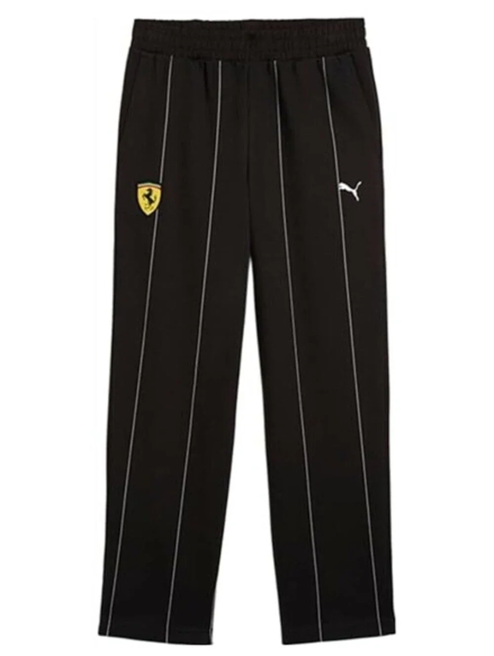 Puma ferrari race