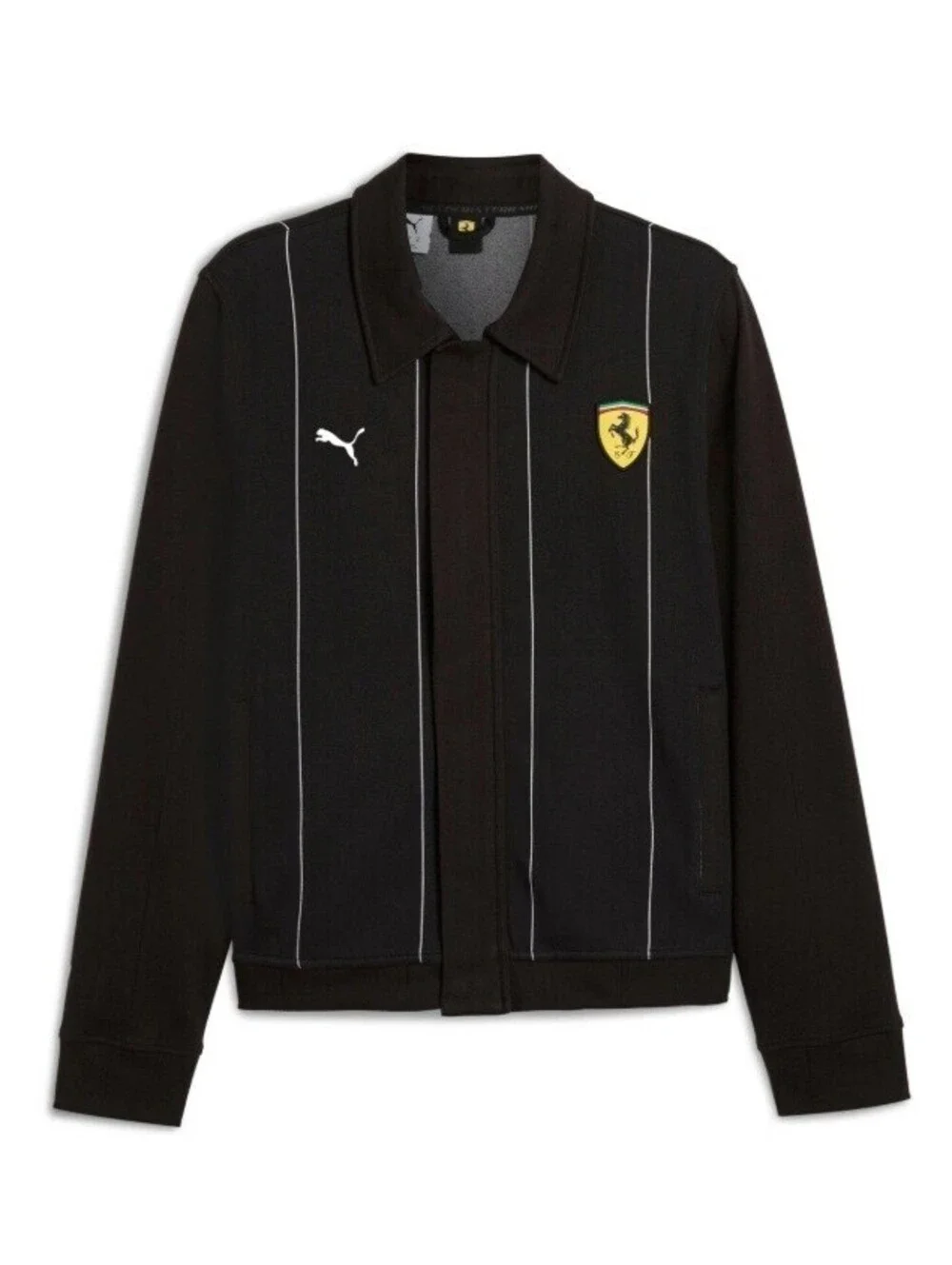 Puma ferrari race