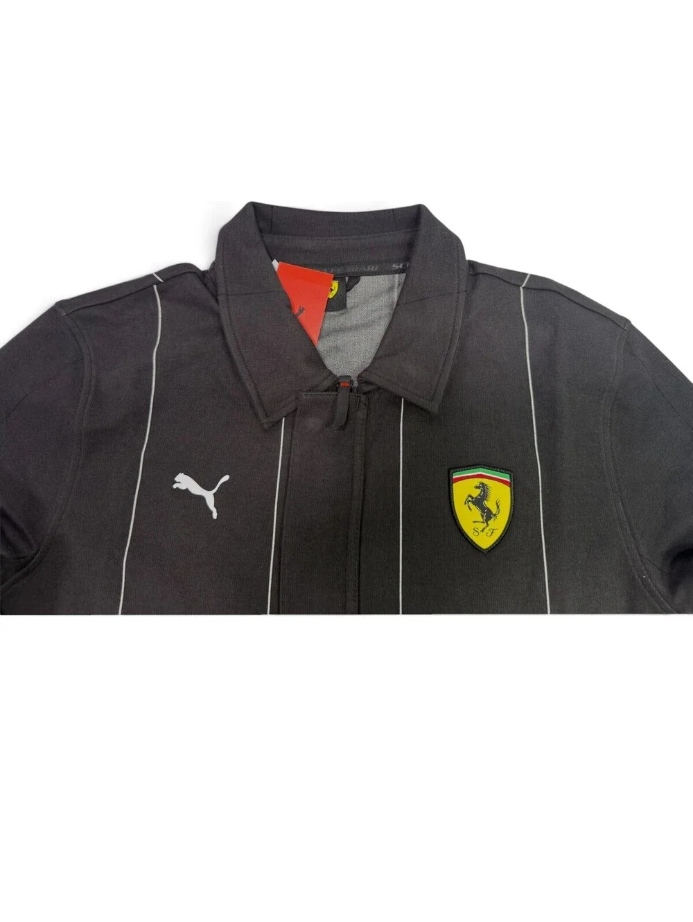 Puma ferrari race