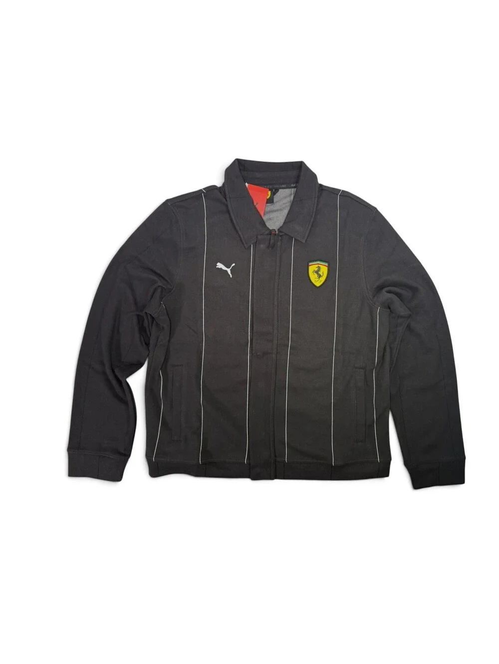 Puma ferrari race