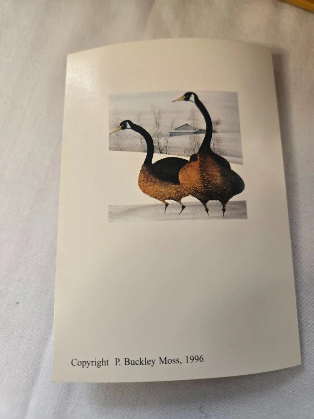 Lane Co. buckley moss