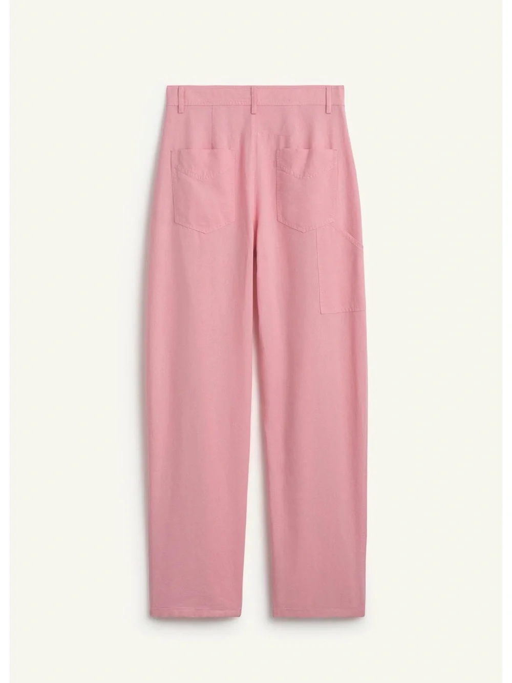 Zara pants made