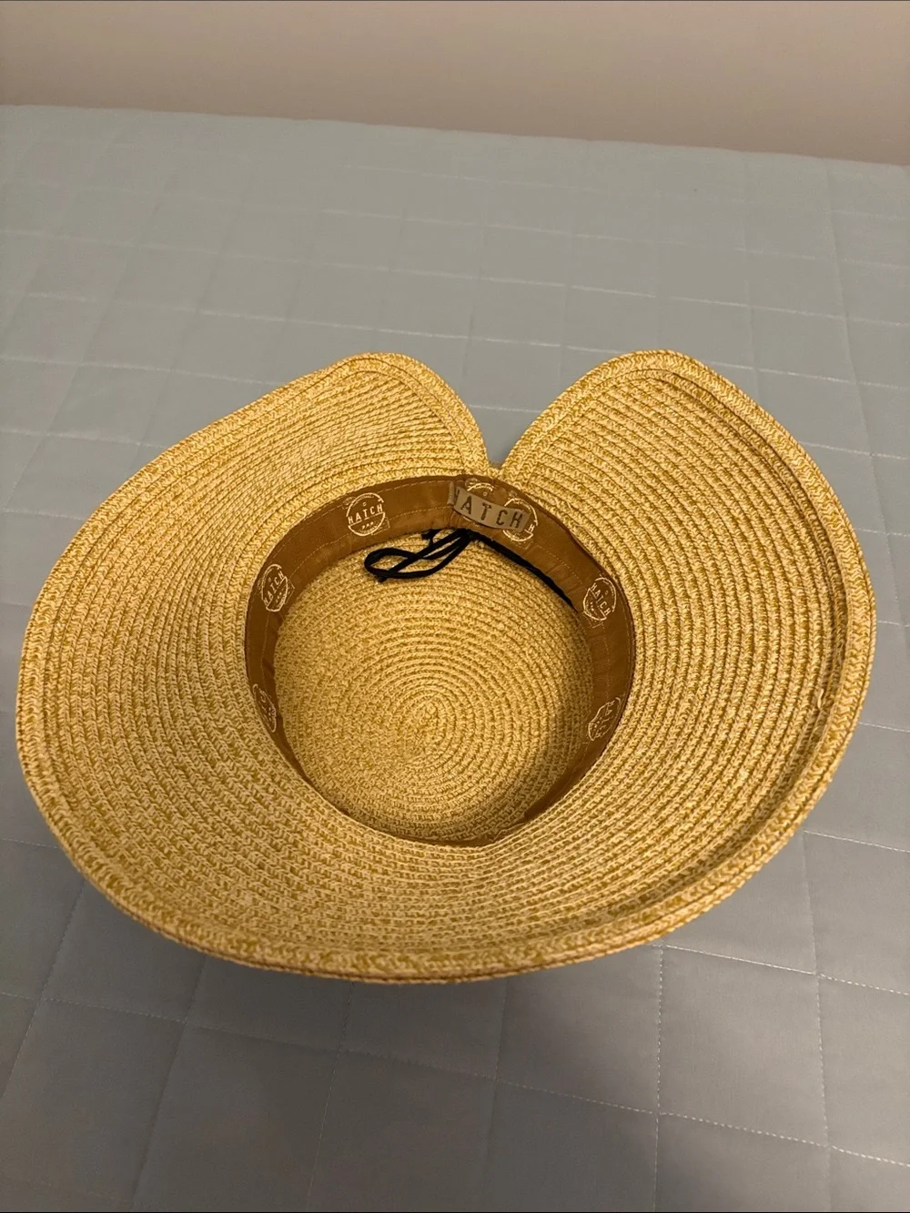 Hatch straw sun