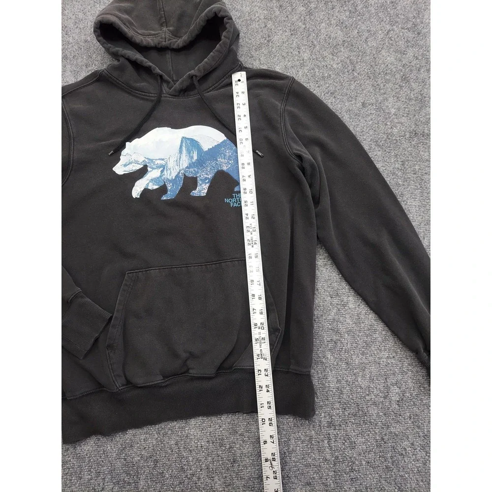 The North Face brand north