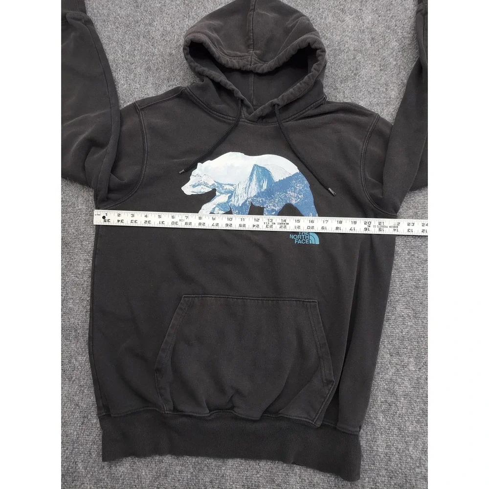The North Face brand north