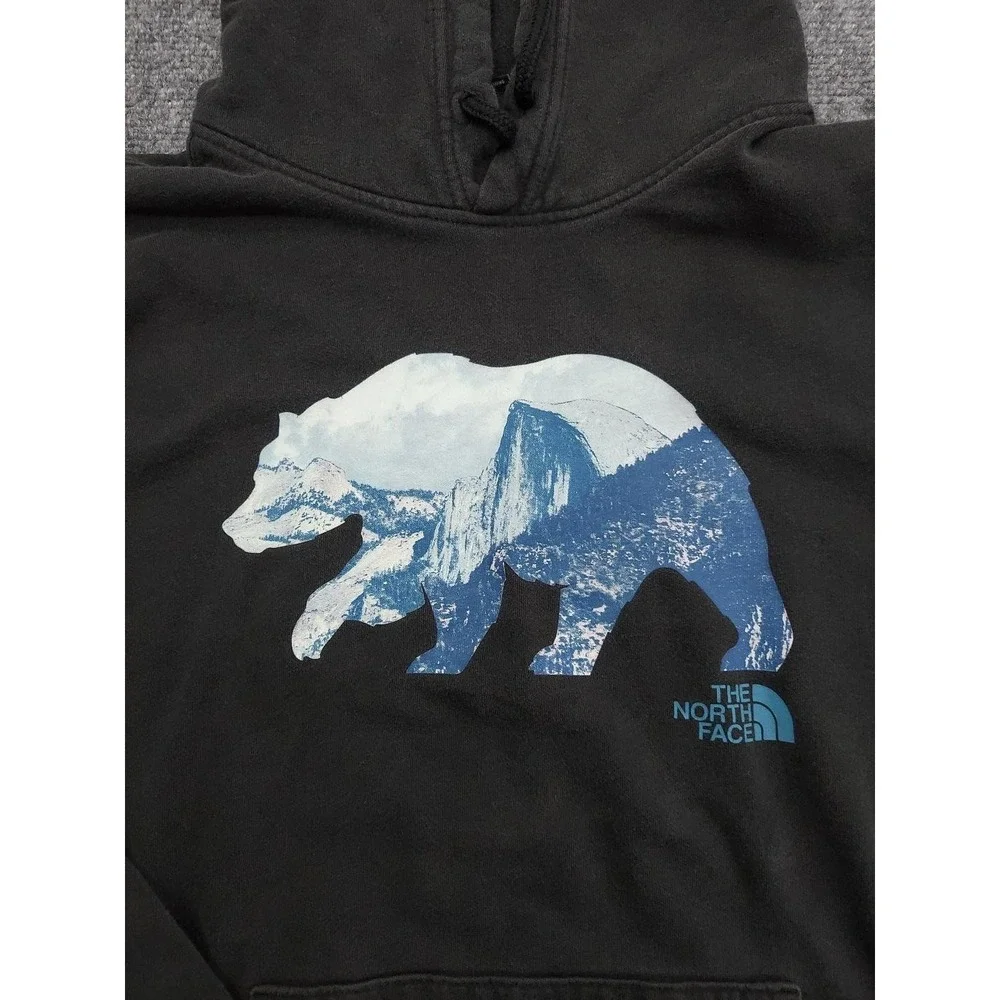 The North Face brand north