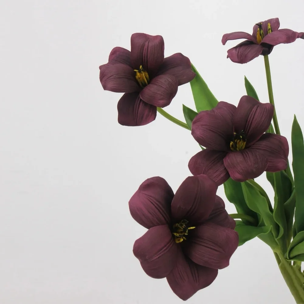 Amoria Bloom this bundle