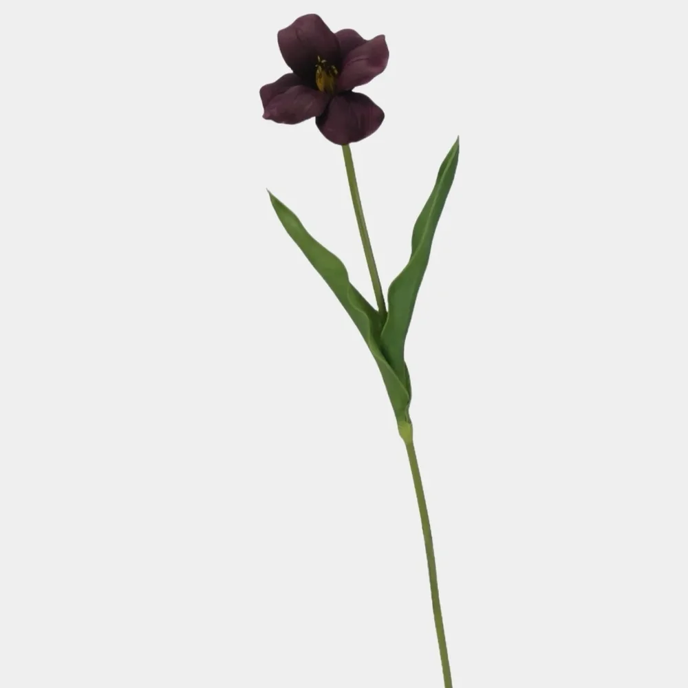 Amoria Bloom this bundle