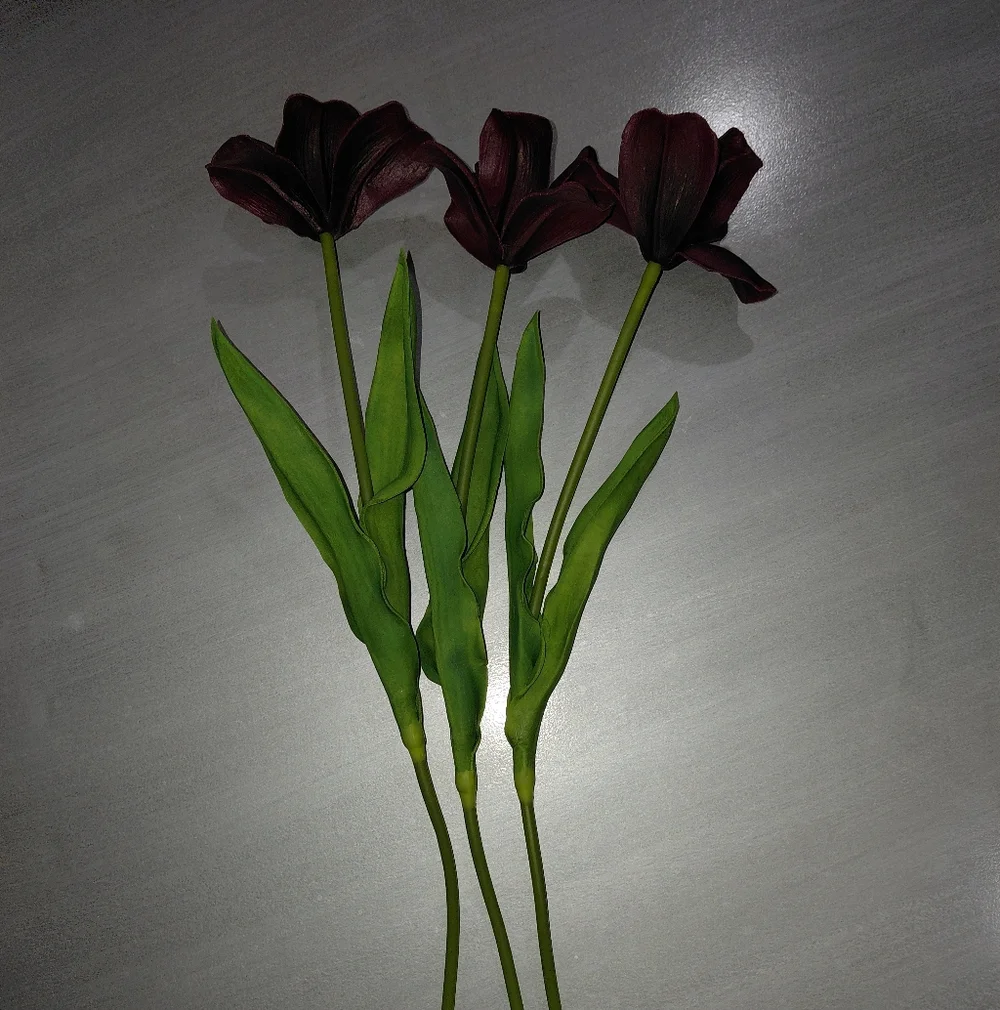 Amoria Bloom this bundle