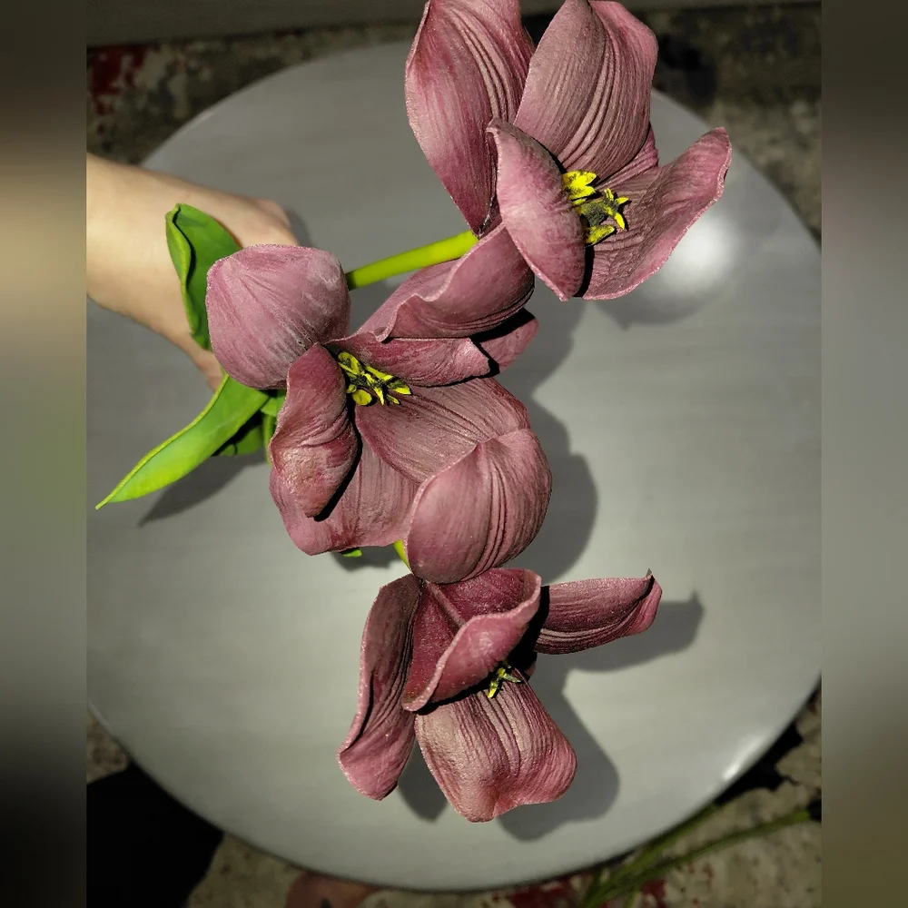 Amoria Bloom this bundle