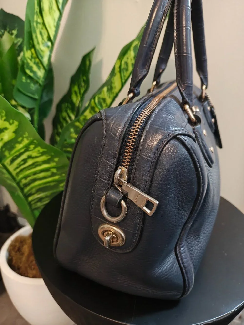 Coach classic versatile